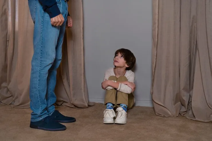 apprehended domestic violence order