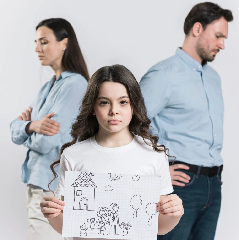 family law disputes